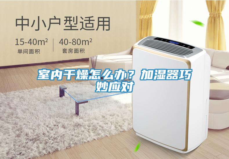 室內幹燥怎麽辦？加濕器巧妙應對