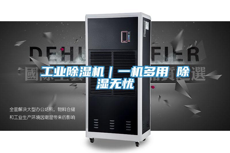 工業小黄片软件免费下载｜一機多用 除濕無憂