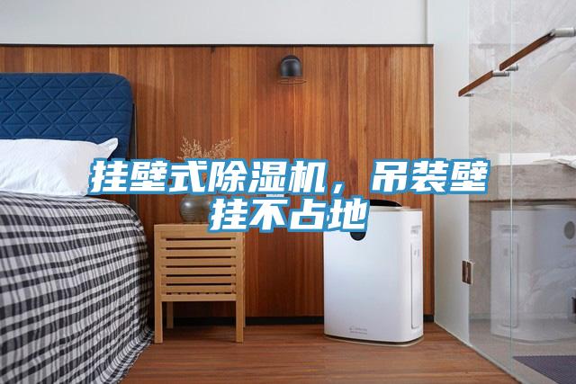 掛壁式小黄片软件免费下载，吊裝壁掛不占地