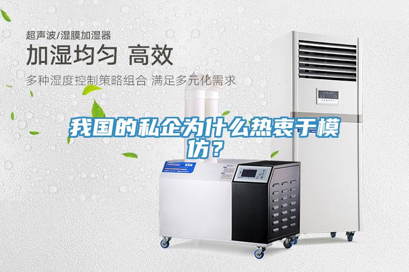 我國的私企為什麽熱衷於模仿？