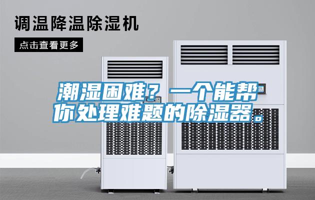 潮濕困難？一個能幫你處理難題的除濕器。