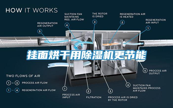 掛麵烘幹用小黄片软件免费下载更節能