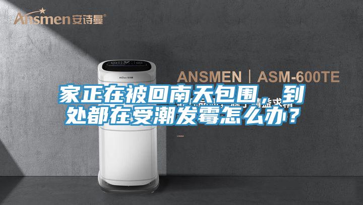 家正在被回南天包圍，到處都在受潮發黴怎麽辦？