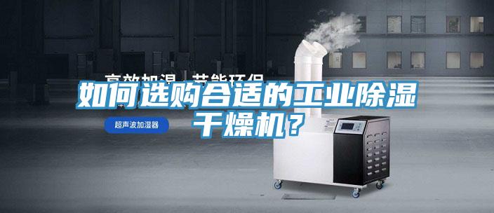 如何選購合適的工業除濕幹燥機？