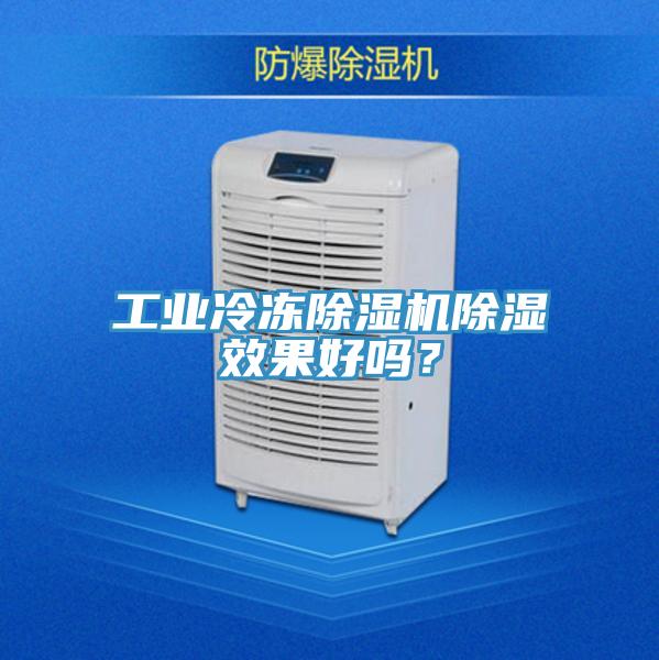 工業冷凍小黄片软件免费下载除濕效果好嗎？