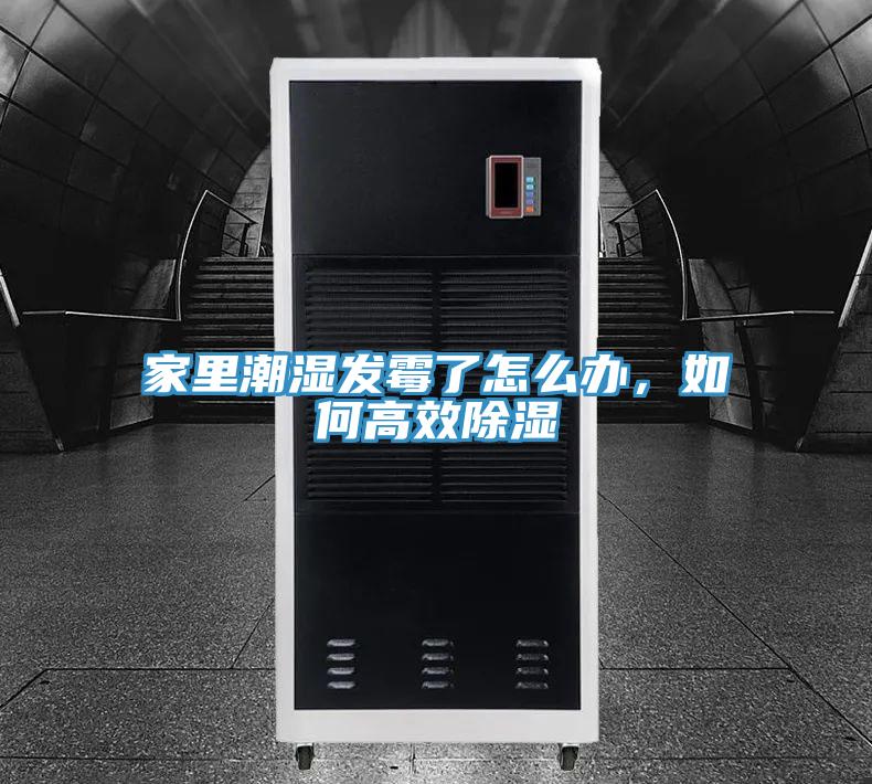 家裏潮濕發黴了怎麽辦，如何高效除濕