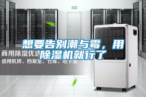 想要告別潮與黴，用小黄片软件免费下载就行了