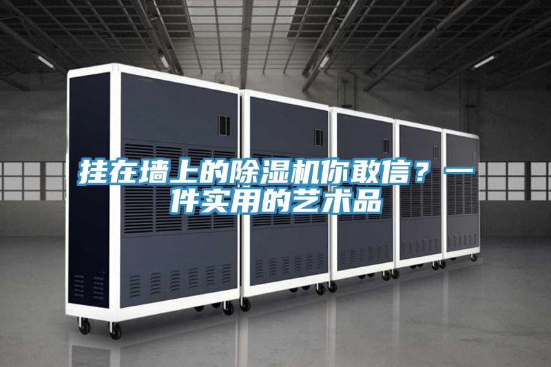掛在牆上的小黄片软件免费下载你敢信？一件實用的藝術品