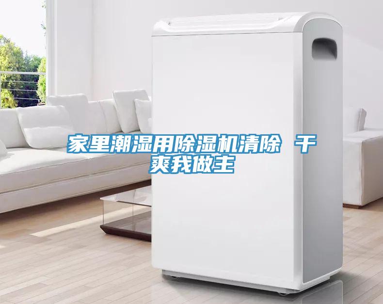 家裏潮濕用小黄片软件免费下载清除 幹爽我做主