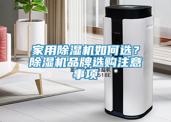 家用小黄片软件免费下载如何選？小黄片软件免费下载品牌選購注意事項