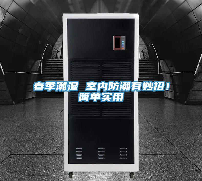 春季潮濕 室內防潮有妙招！簡單實用