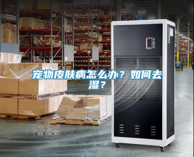 寵物皮膚病怎麽辦？如何去濕？