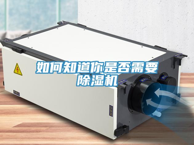 如何知道你是否需要小黄片软件免费下载
