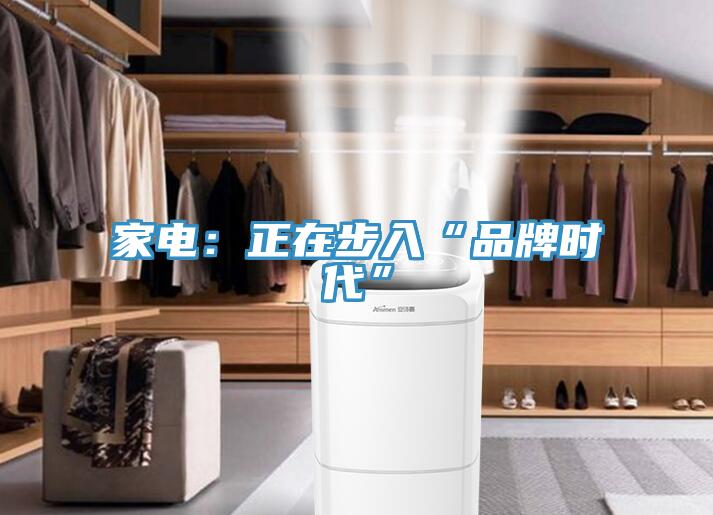 家電：正在步入“品牌時代”