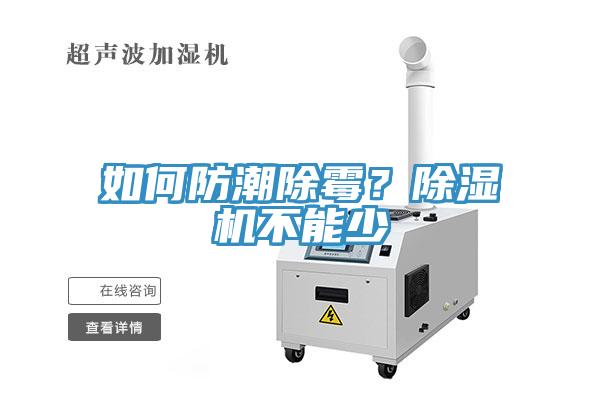 如何防潮除黴？小黄片软件免费下载不能少
