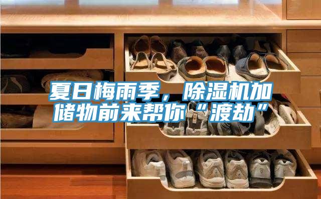 夏日梅雨季，小黄片软件免费下载加儲物前來幫你“渡劫”