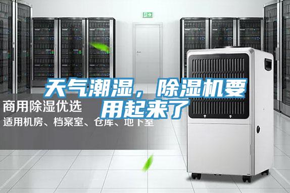 天氣潮濕，小黄片软件免费下载要用起來了