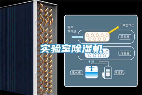 實驗室小黄片软件免费下载