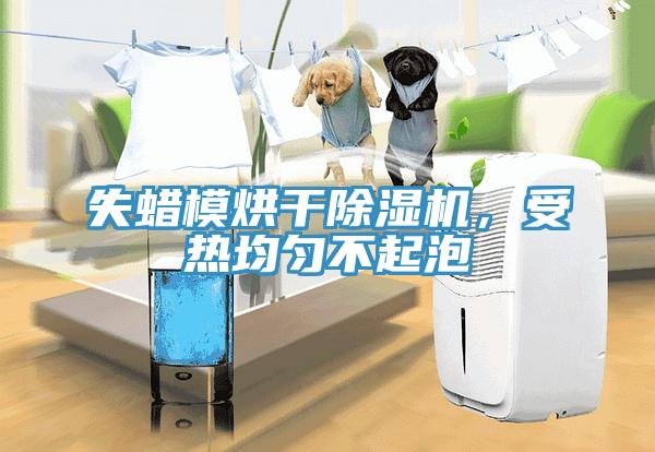 失蠟模烘幹小黄片软件免费下载，受熱均勻不起泡
