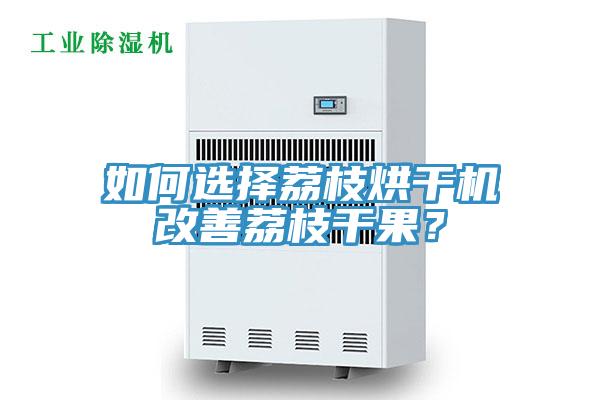 如何選擇荔枝烘幹機改善荔枝幹果？