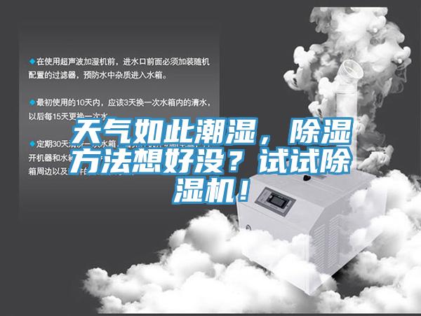 天氣如此潮濕，除濕方法想好沒？試試小黄片软件免费下载！