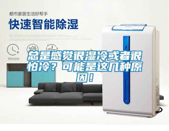 總是感覺很濕冷或者很怕冷？可能是這幾種原因！