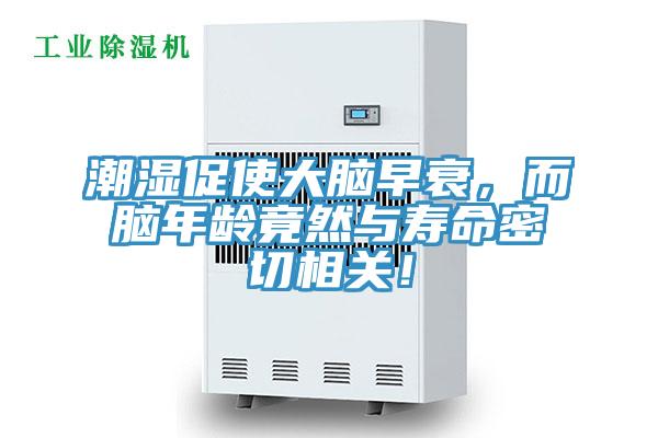 潮濕促使大腦早衰，而腦年齡竟然與壽命密切相關！