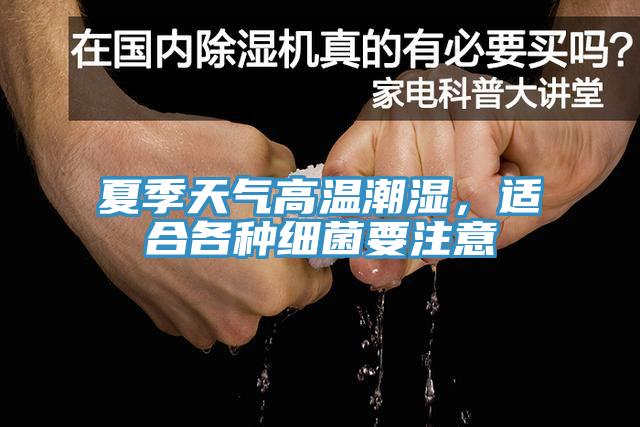 夏季天氣高溫潮濕，適合各種細菌要注意