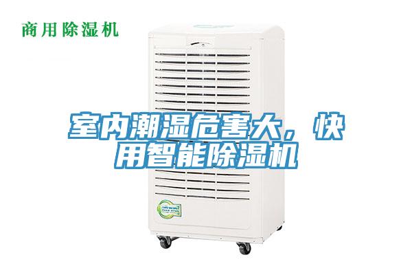 室內潮濕危害大，快用智能小黄片软件免费下载
