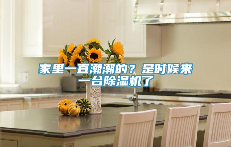 家裏一直潮潮的？是時候來一台小黄片软件免费下载了