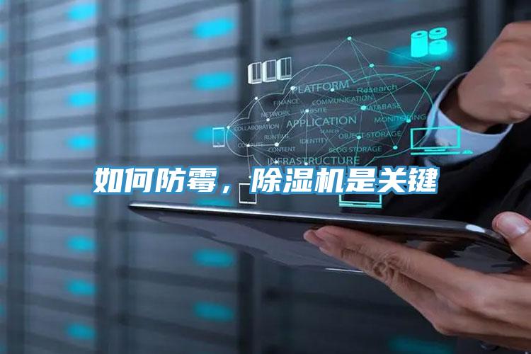 如何防黴，小黄片软件免费下载是關鍵