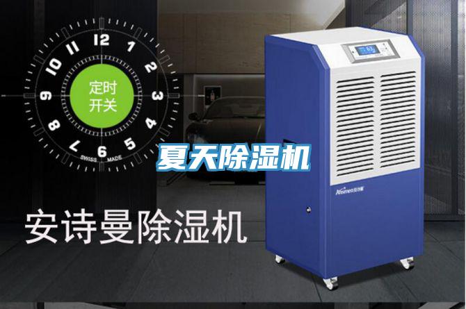 夏天小黄片软件免费下载
