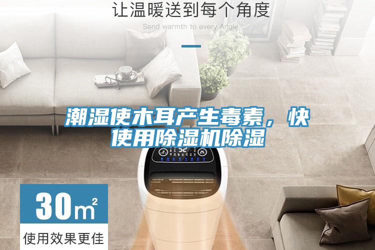 潮濕使木耳產生毒素，快使用小黄片软件免费下载除濕