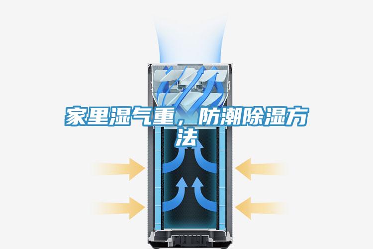 家裏濕氣重，防潮除濕方法