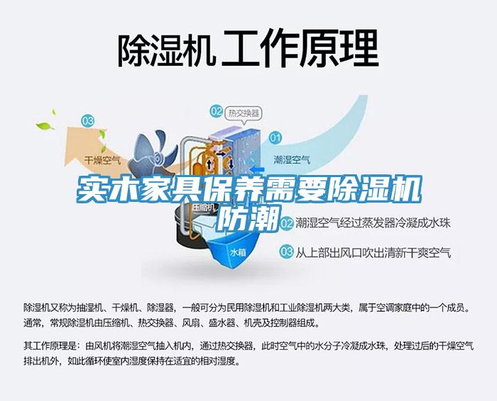 實木家具保養需要小黄片软件免费下载防潮