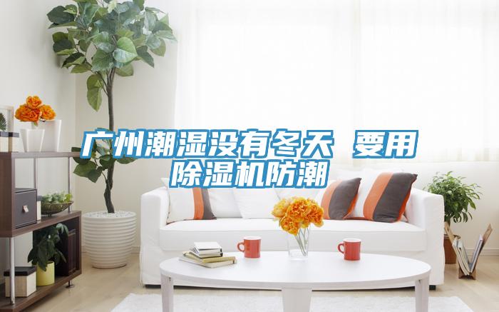 廣州潮濕沒有冬天 要用小黄片软件免费下载防潮