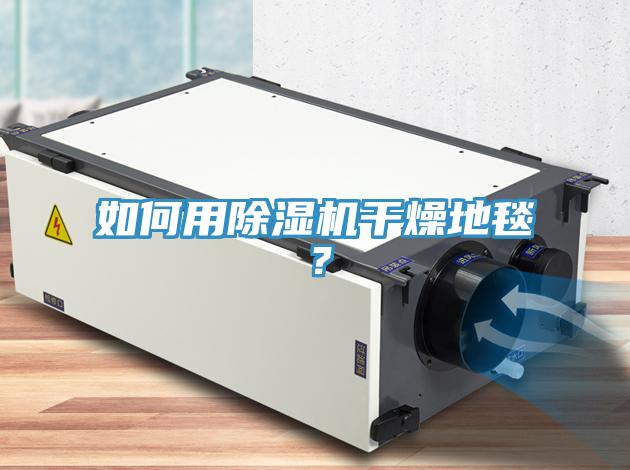 如何用小黄片软件免费下载幹燥地毯？