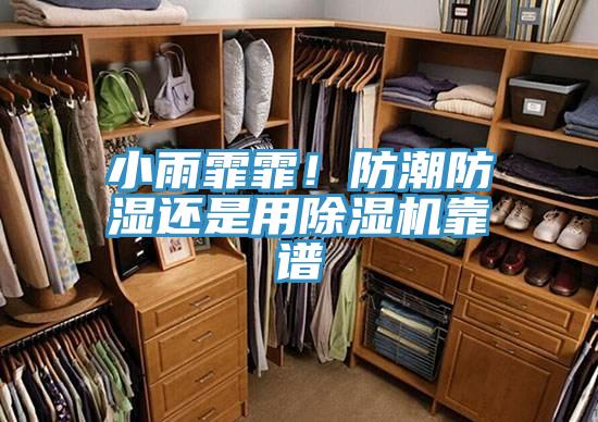 小雨霏霏！防潮防濕還是用小黄片软件免费下载靠譜