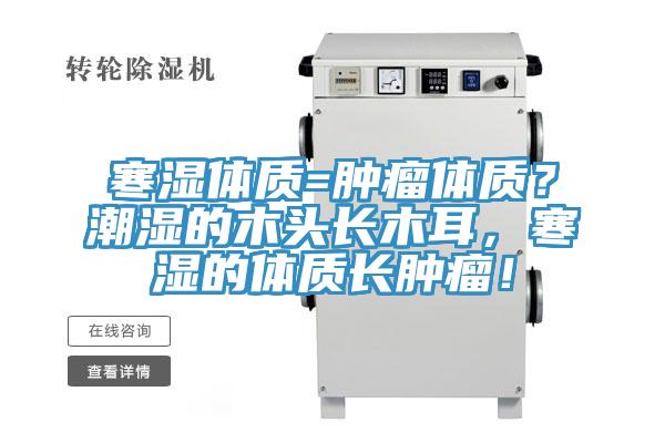 寒濕體質=腫瘤體質？潮濕的木頭長木耳，寒濕的體質長腫瘤！