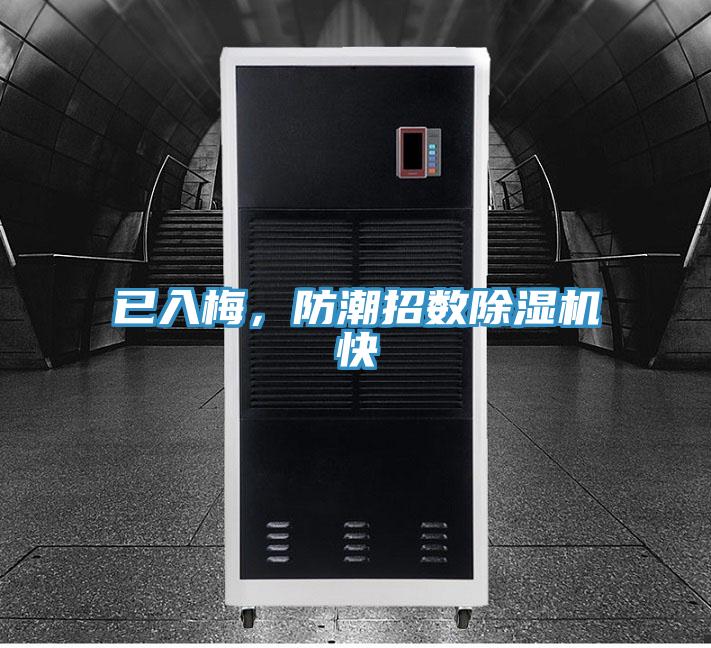 已入梅，防潮招數小黄片软件免费下载快