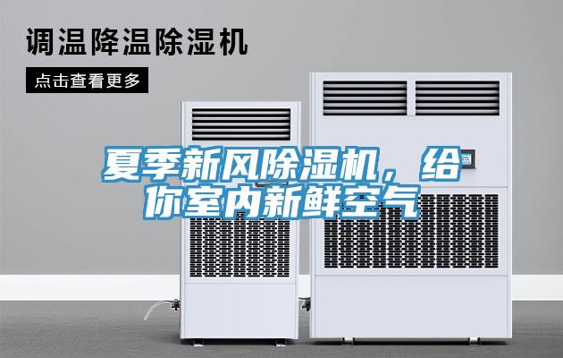 夏季新風小黄片软件免费下载，給你室內新鮮空氣
