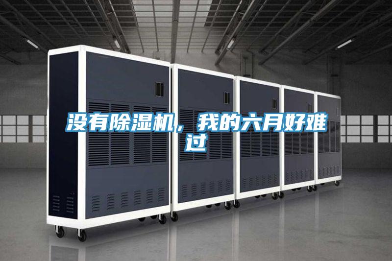 沒有小黄片软件免费下载，我的六月好難過