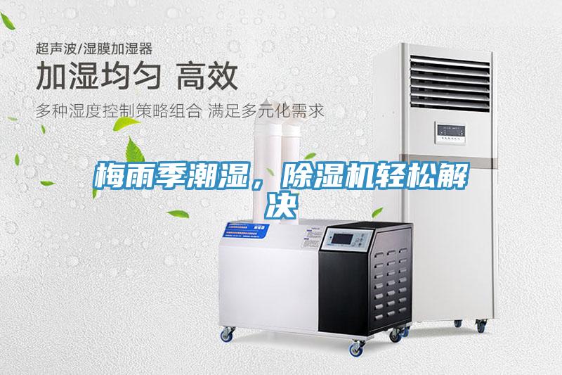 梅雨季潮濕，小黄片软件免费下载輕鬆解決