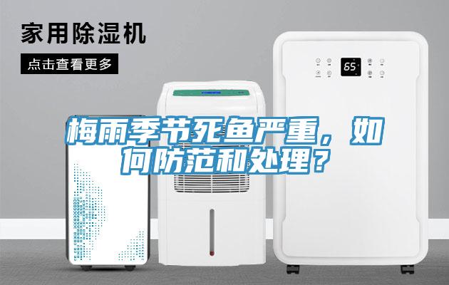 梅雨季節死魚嚴重，如何防範和處理？