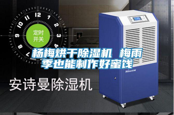 楊梅烘幹小黄片软件免费下载 梅雨季也能製作好蜜餞