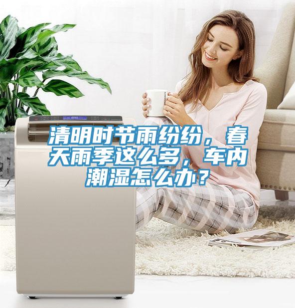 清明時節雨紛紛，春天雨季這麽多，車內潮濕怎麽辦？