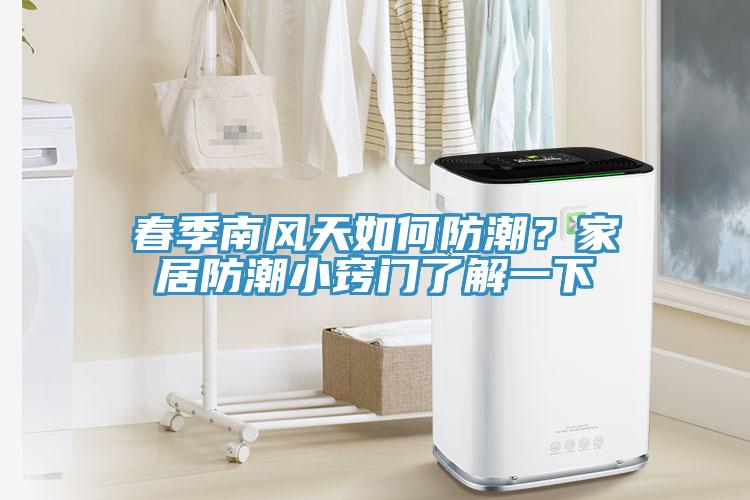 春季南風天如何防潮？家居防潮小竅門了解一下