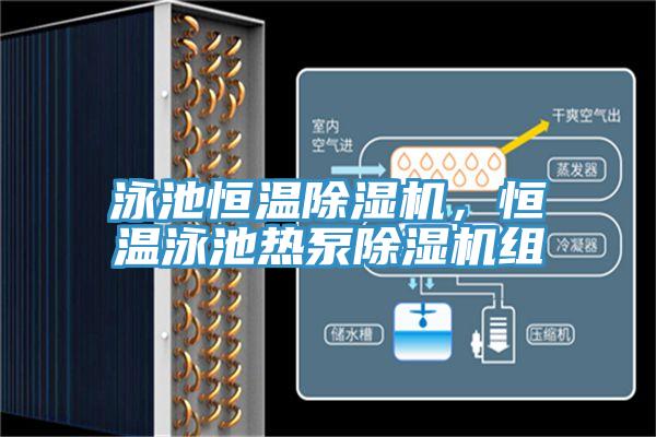 泳池恒溫小黄片软件免费下载，恒溫泳池熱泵小黄片软件免费下载組