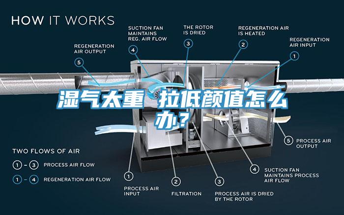 濕氣太重 拉低顏值怎麽辦？