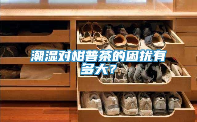 潮濕對柑普茶的困擾有多大？